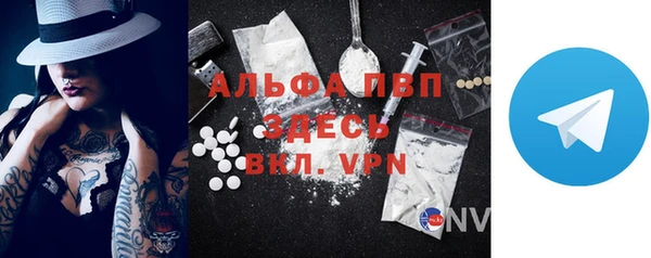 гашик Белокуриха