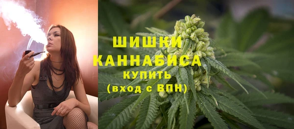 спайс Богородицк