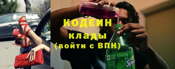 мдпв Богородск