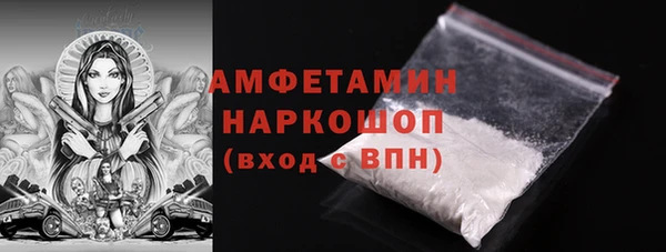 мдпв Богородск