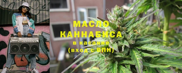 мдпв Богородск