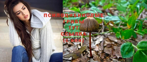 кокс Богданович