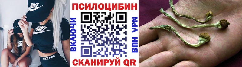 Псилоцибиновые грибы MAGIC MUSHROOMS MEGA Кушва где можно купить наркотик