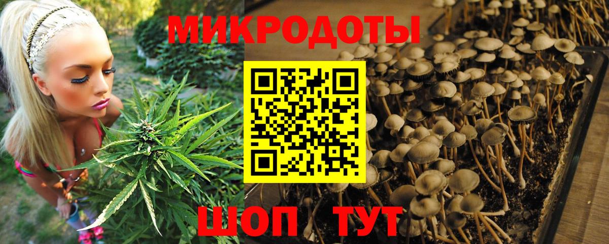 Кушва  Псилоцибиновые грибы MAGIC MUSHROOMS  Псилоцибиновые грибы мухоморы  Вход с VPN 