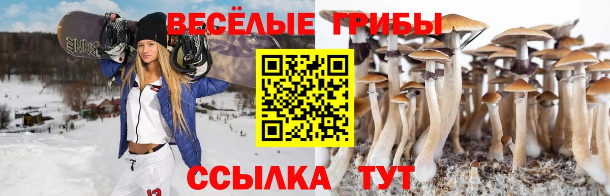 Галлюциногенные грибы GOLDEN TEACHER Кушва